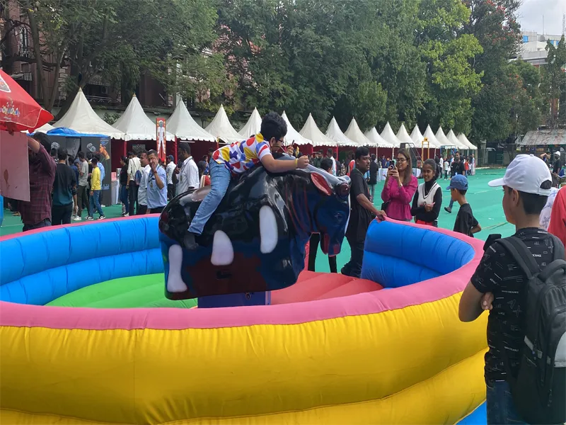 BULL RIDE
